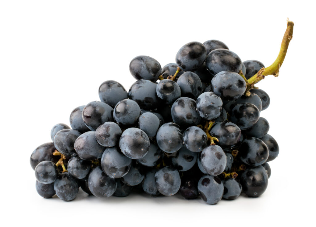 Black Seedless Grapes