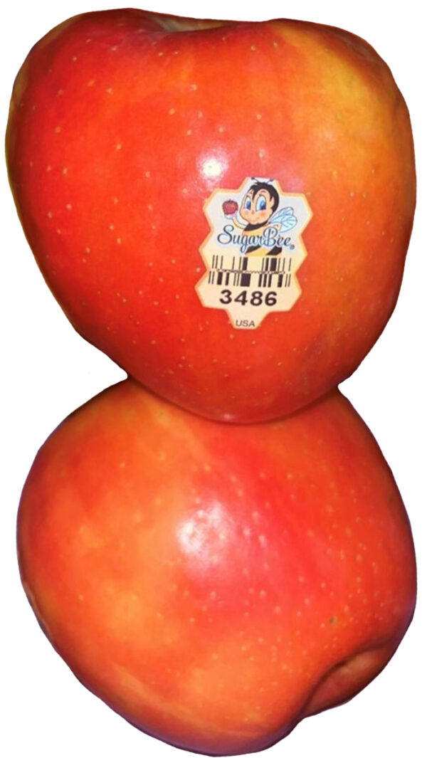 SugarBee® Apple