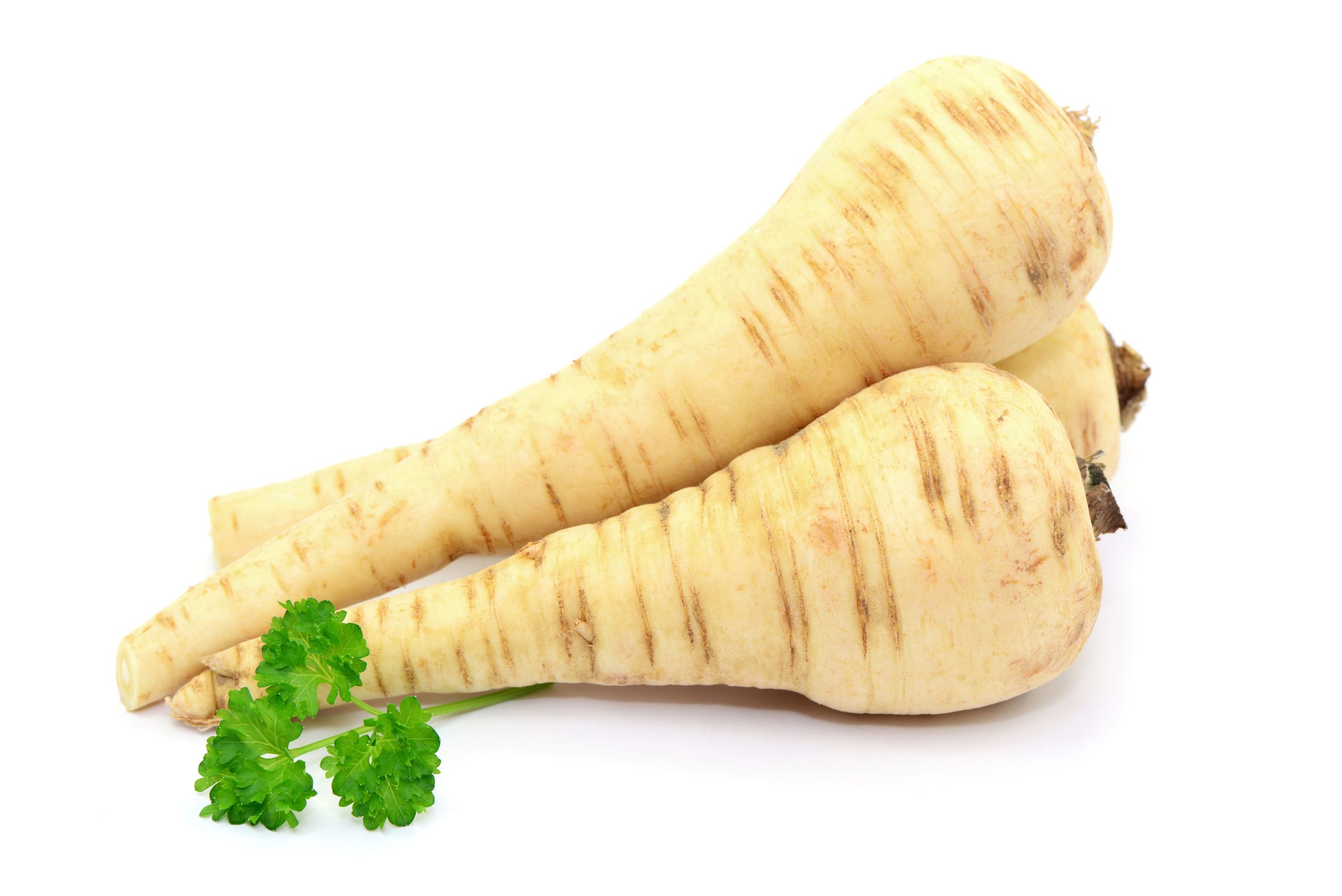 Parsley Root
