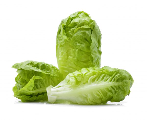 Romaine Hearts