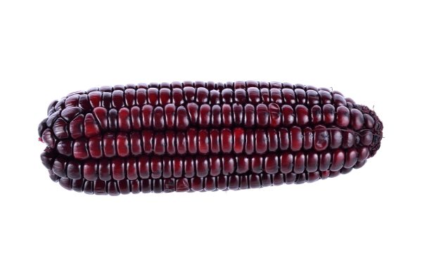 Purple Corn