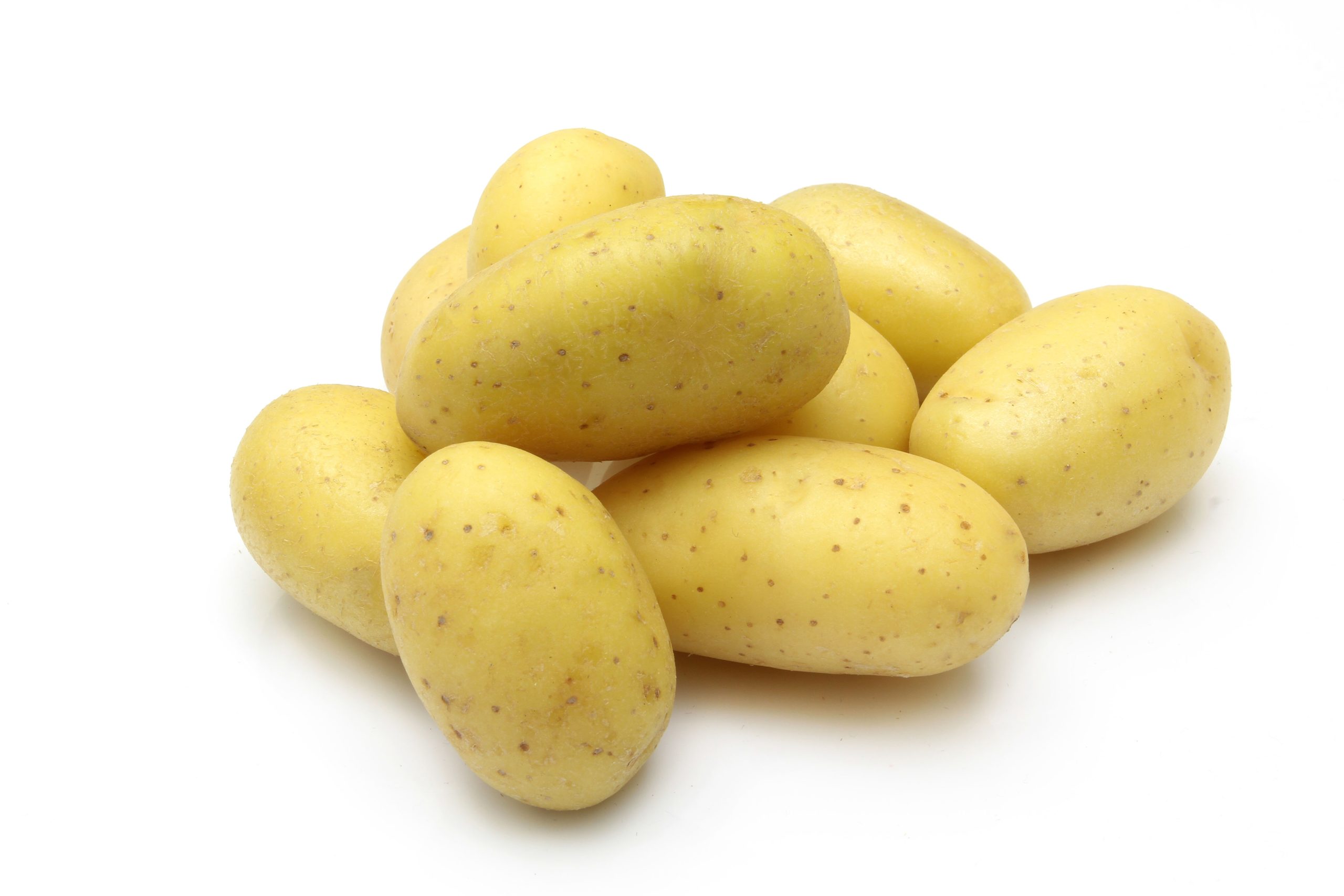 Creamer White Potato