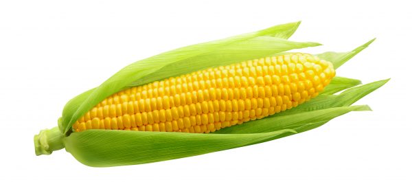 Yellow Corn