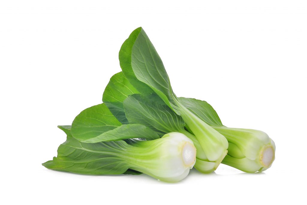 Bok Choy Baby