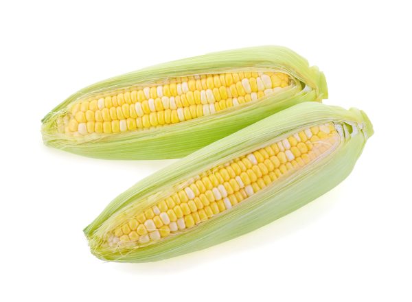 Bi Color Corn