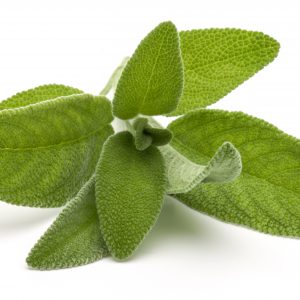 Sage