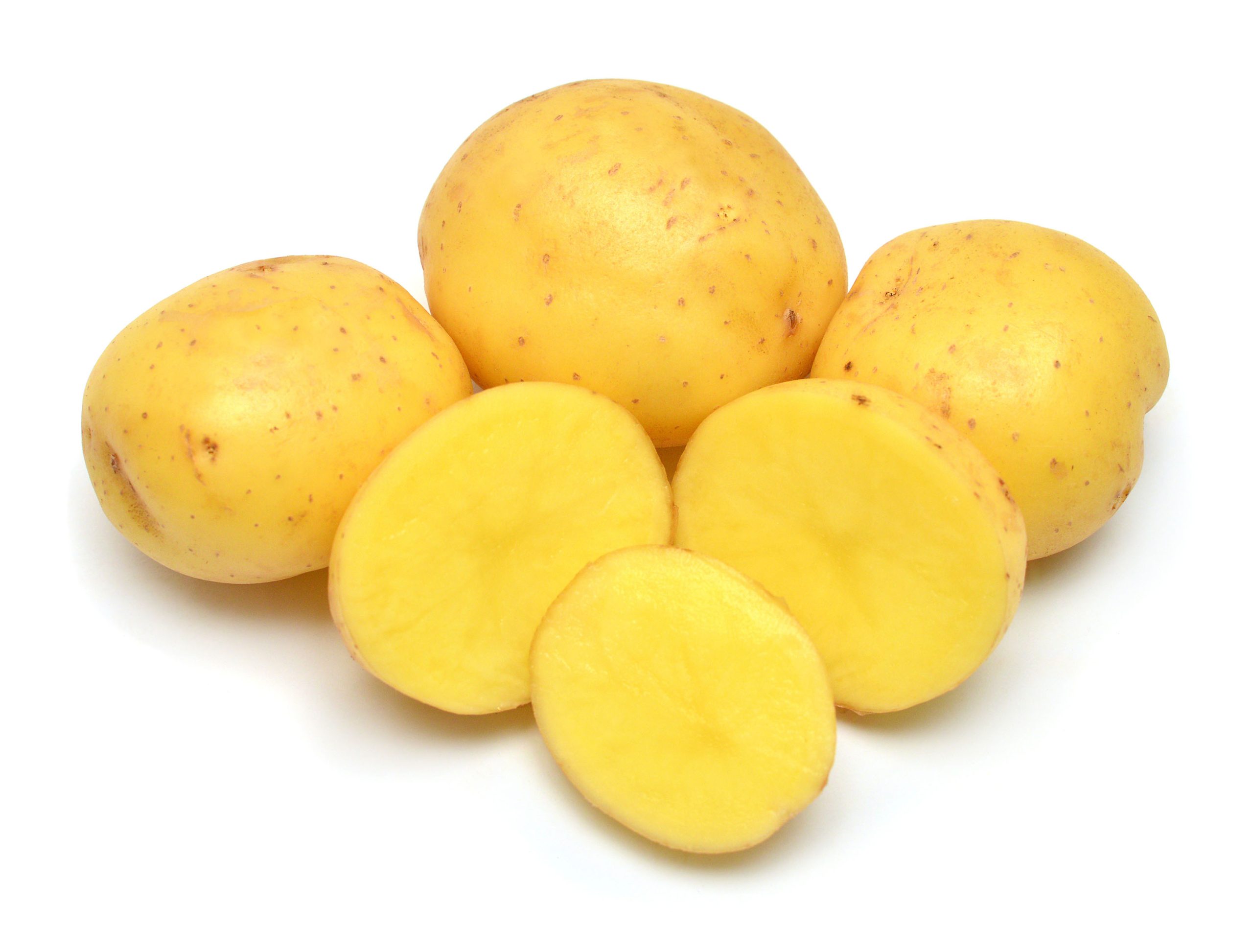 Creamer Yukon Potato