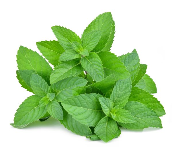 Mint
