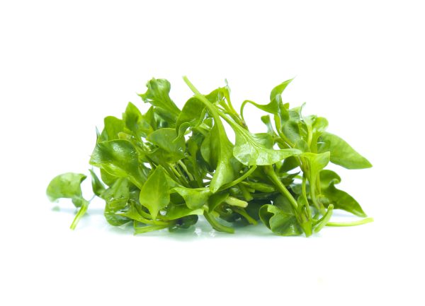 Watercress