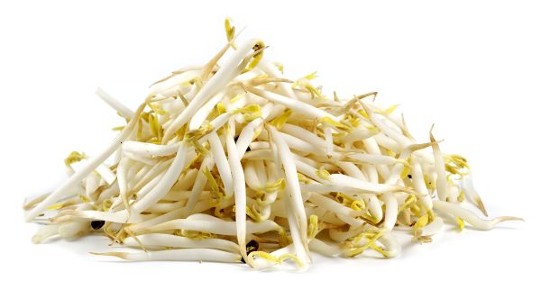 Mung Bean Sprouts