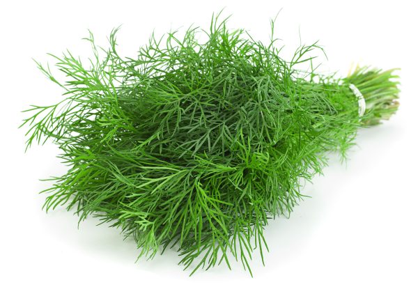 Dill