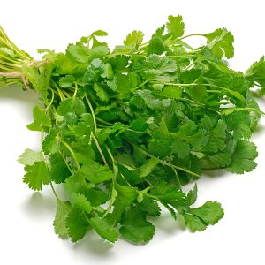 Parsley Italian (Flat Leaf)