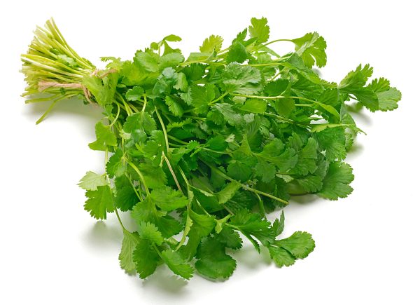Parsley Italian (Flat Leaf)
