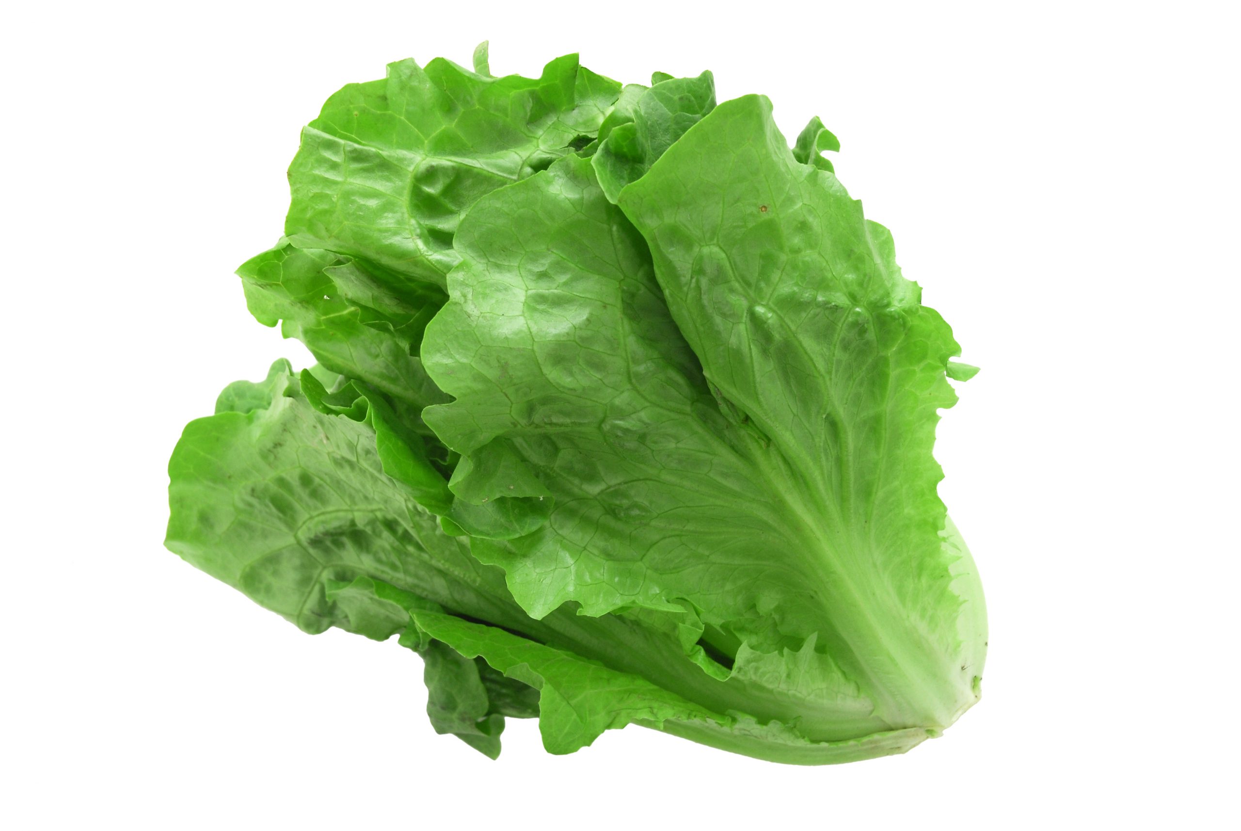 Leaf Green