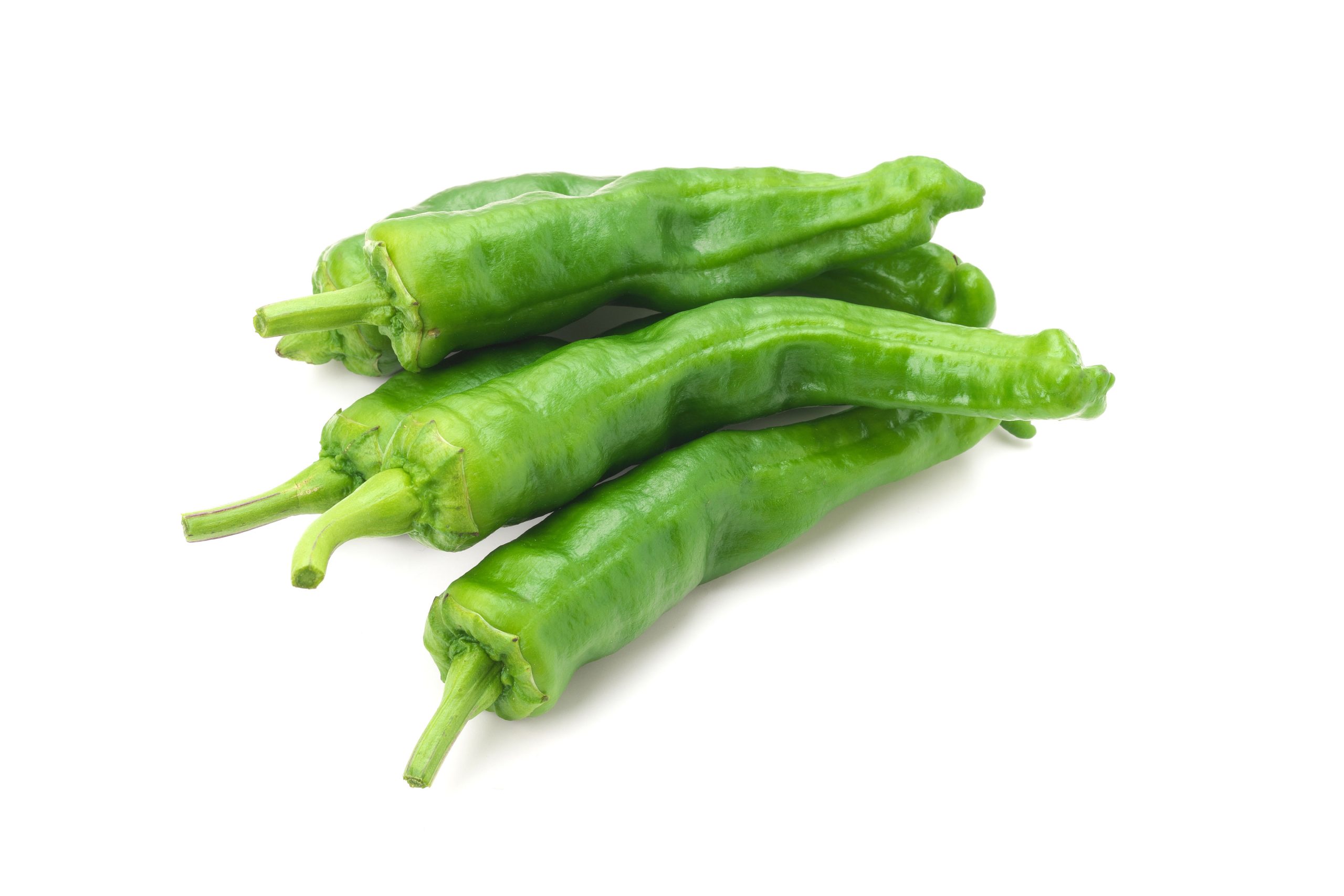 Chile - Shishito Pepper