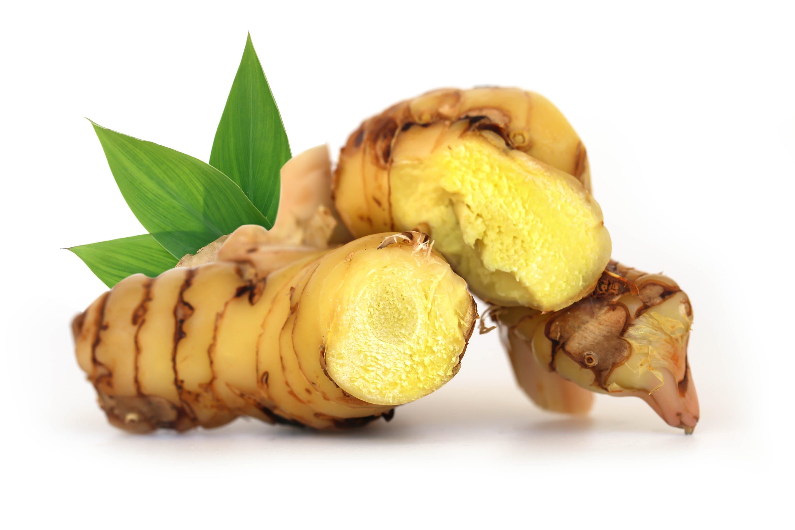 Galangal Root
