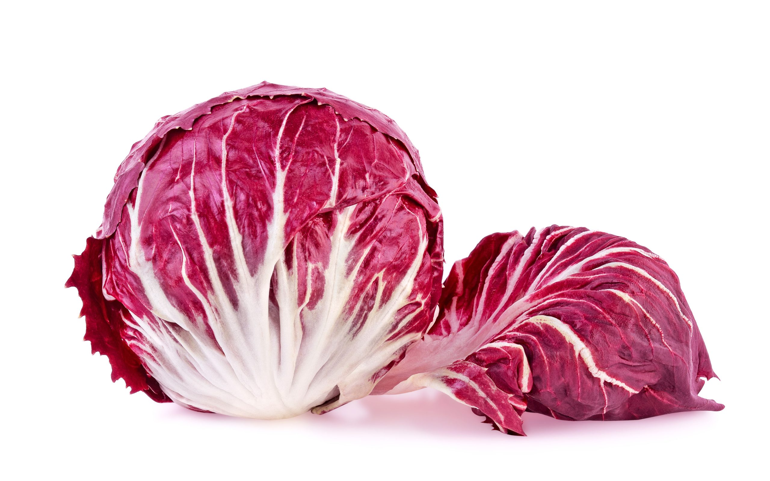 Radicchio