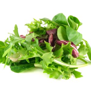 Mesclun Mix / Spring Mix