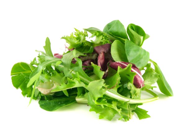 Mesclun Mix / Spring Mix