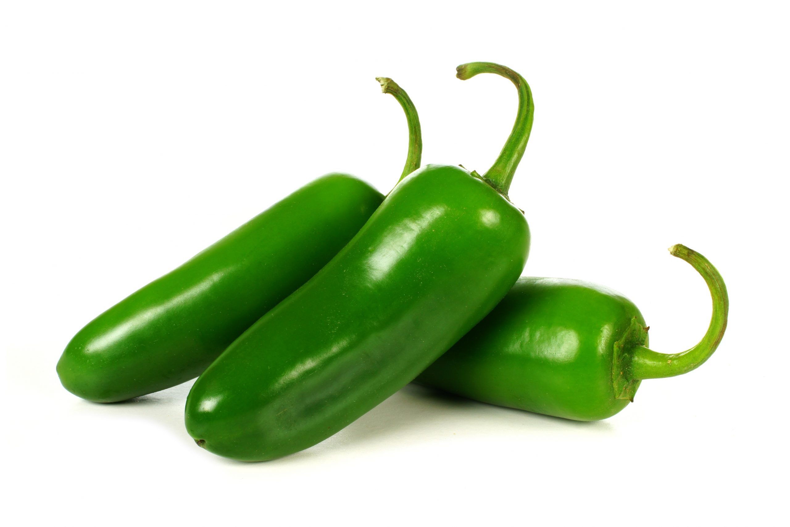 Chile – Jalapeno Pepper