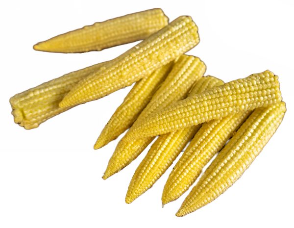 Baby Corn