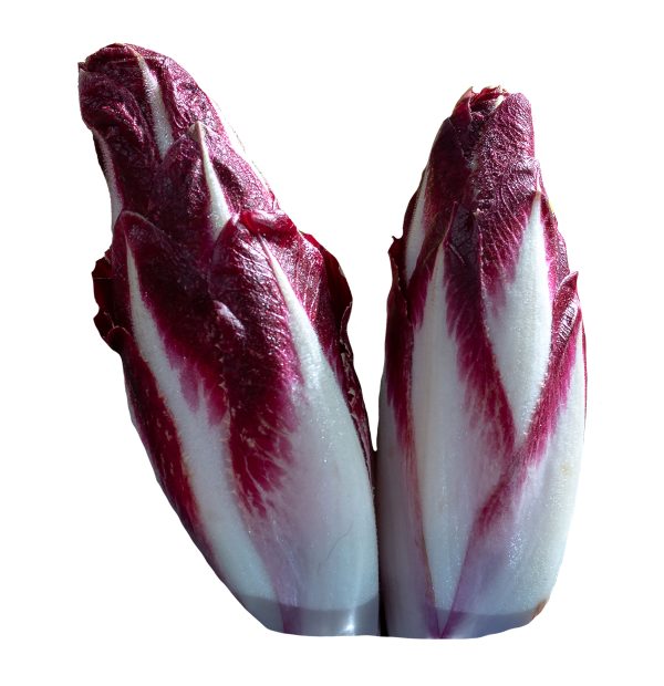 Belgian Endive (Red)